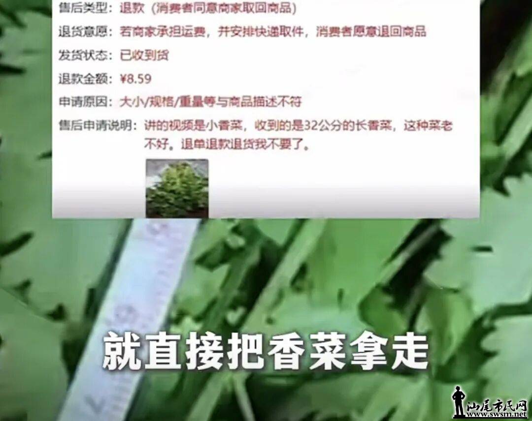 11e76a954dea4d2493b369ec5ff3fb04.jpeg