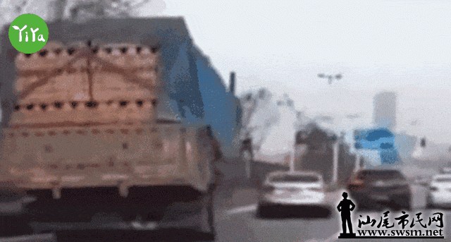 24.gif